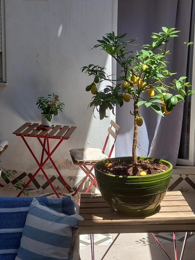 Guesthouse Jazmines Mozarabes # Wifi Baena Extérieur photo